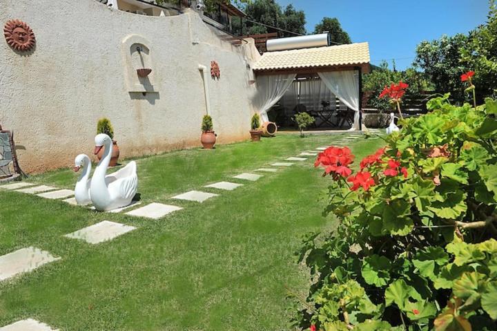 Villa Angela Panorama Paleokastritsa Exterior foto